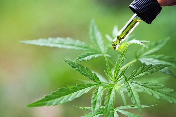 South Africa paves way for CBD industry with Notice R586