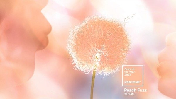 Pantone Unveils 2024 Color: Peach Fuzz